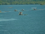 Elefantentrekking in Pang Nga Brücke zur Insel Phuket mit Seehäuser (TH).